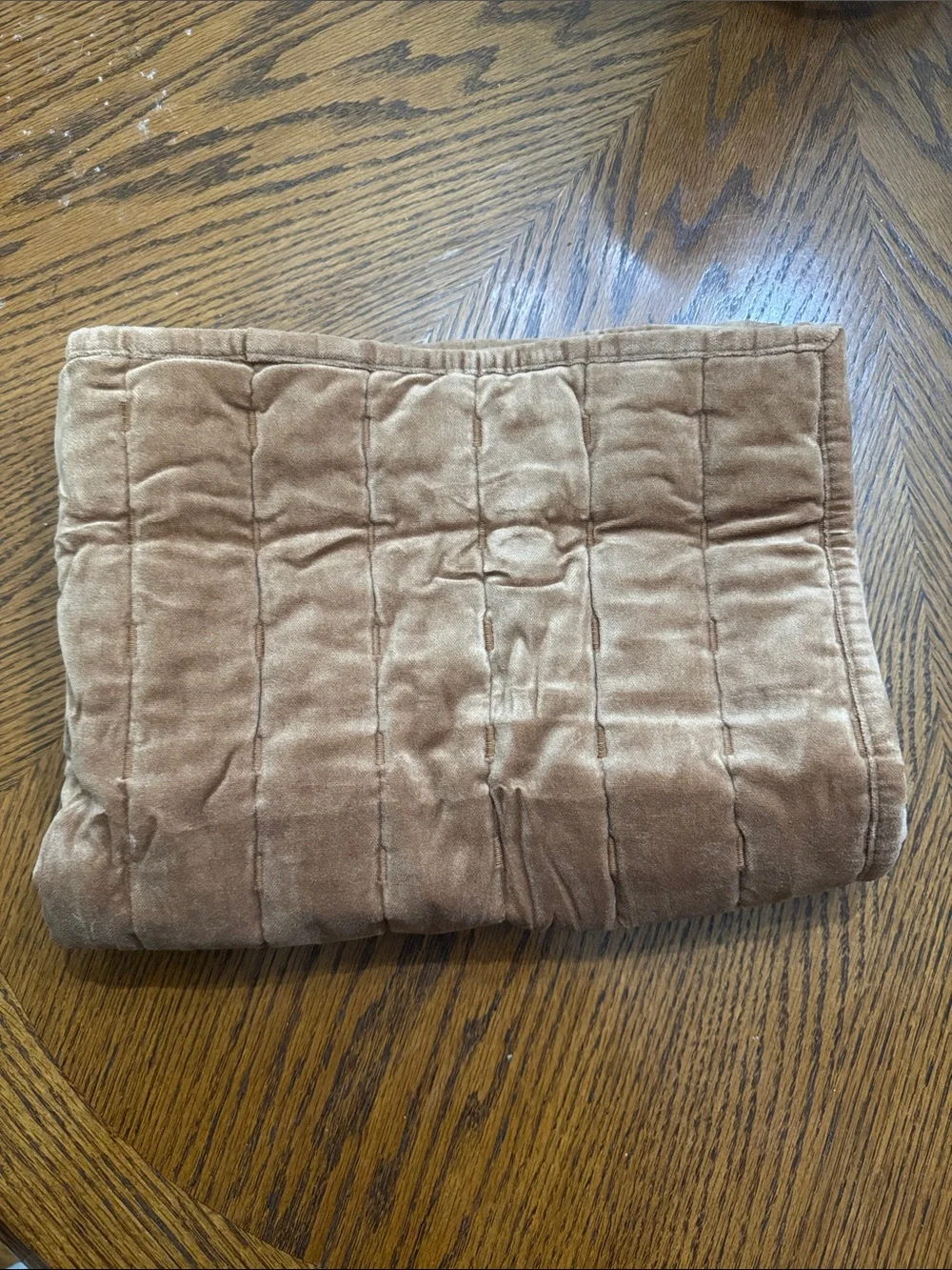NWT Threshold Channel Stitch Velvet Quilt Sham Camel